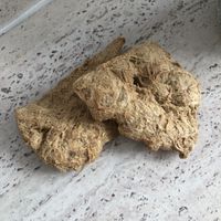   at Nasty de Plastic in Valencia