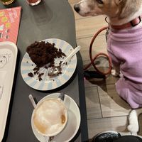   at Emilie and the Cool Kids in Reims