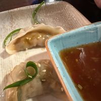 Chicken dumplings   at Paradisescape in Brunswick