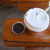 Oat & peanutbutter cup at Bear's Paw Bakery in Jasper
