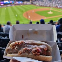 Vegan City Dog at Vegan City - Citi Field in New York City