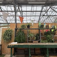 Mooi groen   at Kweekcafé in Haarlem