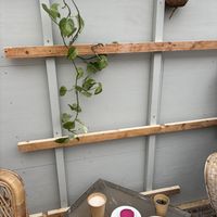  Chai, roze koek en croissant, alles vegan  at Kweekcafé in Haarlem