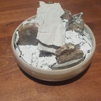  at Reflet d'Obione in Montpellier