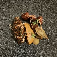   at Reflet d'Obione in Montpellier