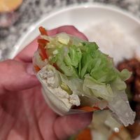 Tofu Spring Roll at Mei's Kitchen in El Paso
