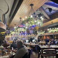 Spacious lively beer garden area for diningg  at Brewhemia in Edinburgh