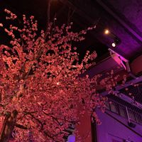   at Lado V in Buenos Aires