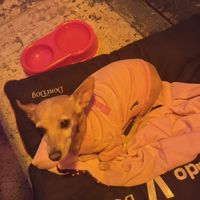   at Lado V in Buenos Aires