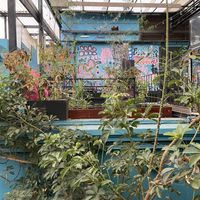 Terraza  at Lado V in Buenos Aires