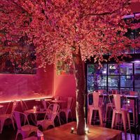  at Lado V in Buenos Aires