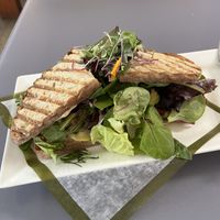 Vegan panini!  at Extraordinary Desserts in San Diego