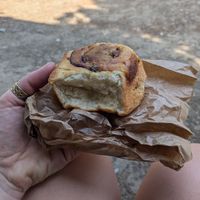 Citrous raisin bun (it only looks ugly because it travelled in a backpack to Carcassonne) at Pain Brut in Montpellier
