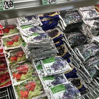 Frozen fruits. at Trader Joe's - 59th St in New York City