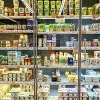 . at Veritas - Plaça del Comtat del Roselló in Mallorca