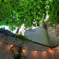 Hinterhof at Julis Spätzlerei in Passau