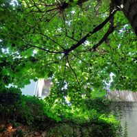  at Julis Spätzlerei in Passau