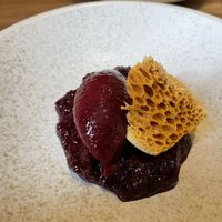 Blackcurrant sorbet, preserved berries at Holm in South Petherton