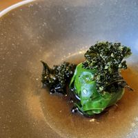 Root vegetable spring roll at Holm in South Petherton