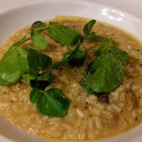 Mushroom & tarragon risotto at Haighton Manor in Preston