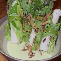 Uchi salad  at Uchi in Austin