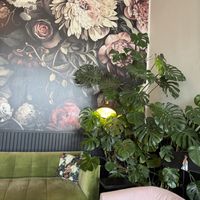   at greenhouse coffee + plants in Corvallis