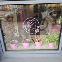  at Pynk Coffee in Hamburg