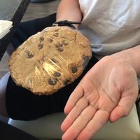 Huge chocolate chip cookie  at The Cheeze Factory Restaurant in Baraboo