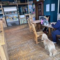 Counter   at The Gallery Bar in Edinburgh