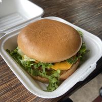 Looks “neat” but served cold, bland, and made with cheap ingredients. Not worth it at all    at Meta Burger in Boulder