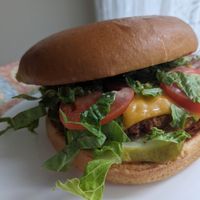 Deluxe chicken sandwich at Meta Burger in Boulder