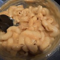   at Meta Burger in Boulder