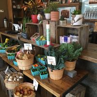 Vegetables for sale at Wise Acre in Minneapolis