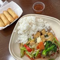 Tgv’s Garden Delight with tofu and rice and a side of veggie rolls.   at Thai Green Village in Frisco