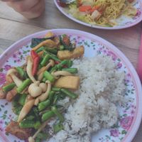 Basil fried 'chicken'(tofu + soy) and veg at Tukta in Koh Tao