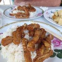 garlic vegan chicken with rice at Tukta in Koh Tao