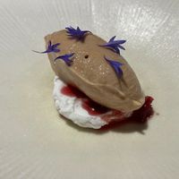 Vegan cottage cheese, rose ice cream, rose petals in syrup at Opasly Tom in Warsaw