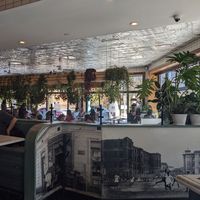  at Ambar in Arlington