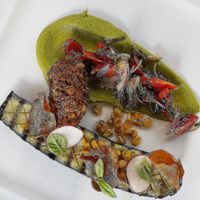 Grilled zucchini and pea puree at The Four Rooms of Mrs. Safija in Sarajevo