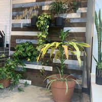   at Turning Natural in Washington