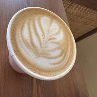   at Gecko Coffeehouse in East London