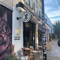  at Gecko Coffeehouse in East London