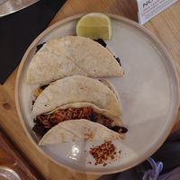  at Gecko Coffeehouse in East London