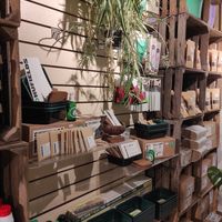 Plant kit at Cork Rooftop Farm Shop in Cork