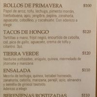 Vegan section on the menu at Arena Negra in Mazunte