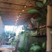 Plants everywhere! at Home No.8 in Krabi