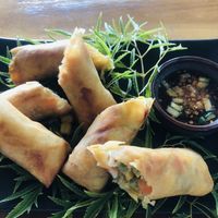 Fried vegetable spring rolls   at Home No.8 in Krabi