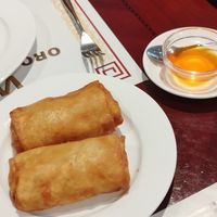 Rollitos de primavera at Oro Gran Muralla in Calatayud