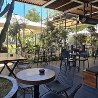   at The Beaver Coffee Shop in Antalya