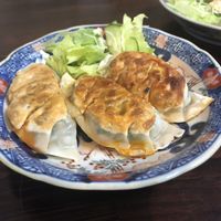 Gyoza at Sujata in Kyoto